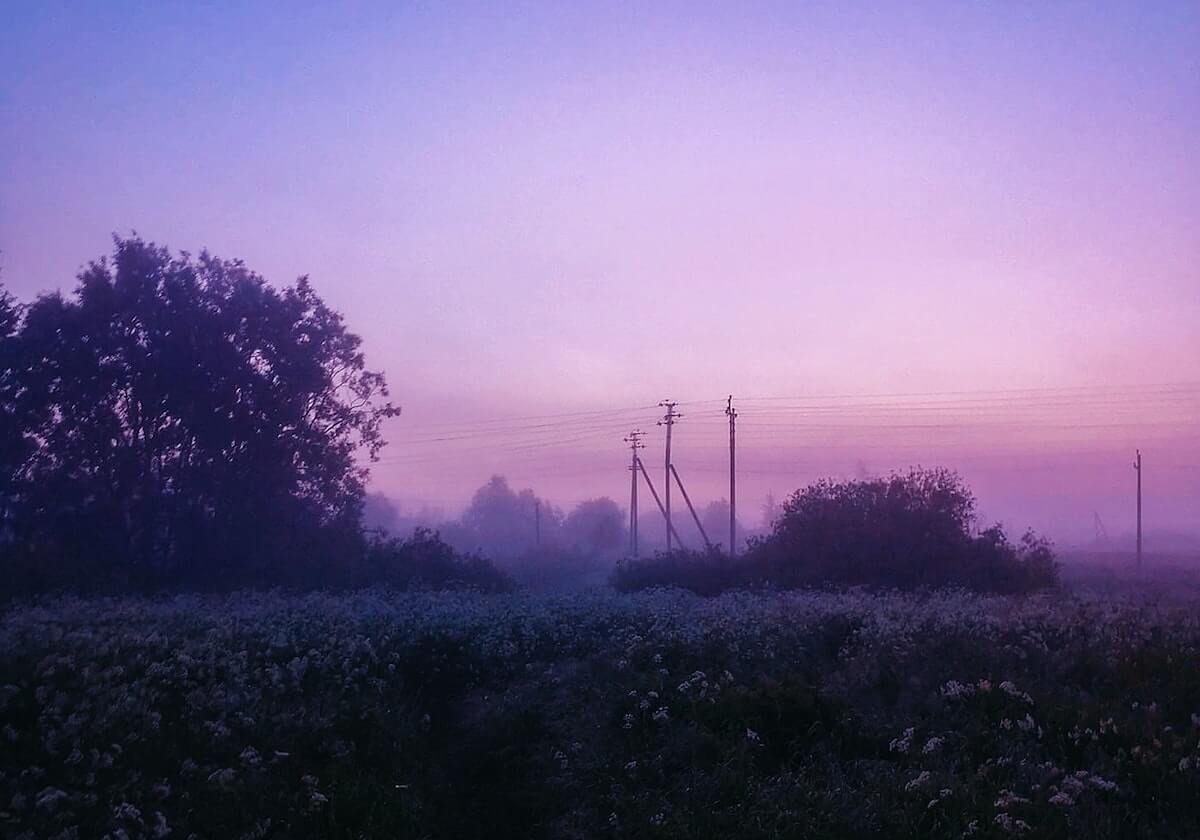 半岛体育：海风之力，成就健康生活的品牌叙事
